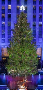 The 2012 Christmas tree at Rockefeller Center, which holds a lighting ceremony for the new one tonight. (Gregory Scaffidi/Tishman Speyer) 