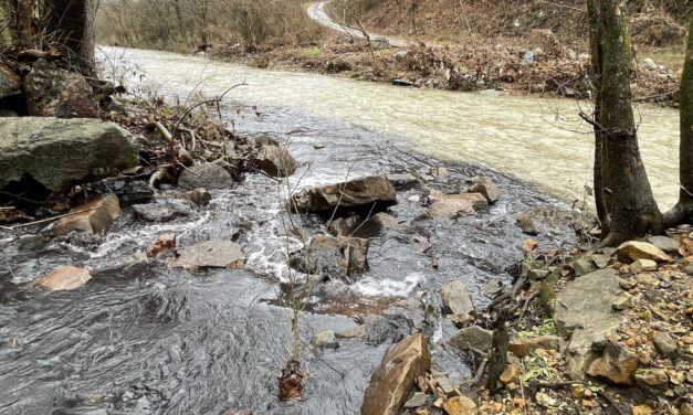 A Push to Reopen Major Polluter in Black Birmingham