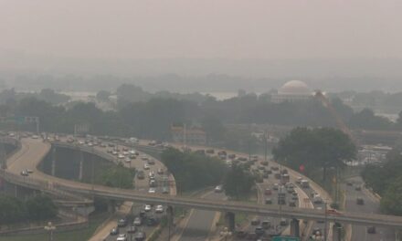 5 Things You Need to Know to Protect Your Health From Wildfire Smoke